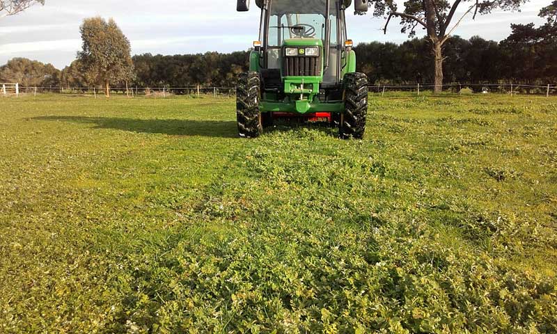 Paddock spraying for broadleaf and capeweed